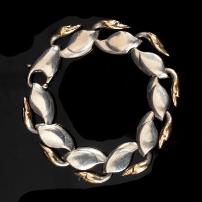 Brett Payne, a silver Swan