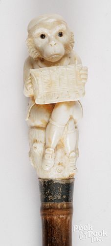 BRITISH IVORY MONKEY WALKING