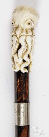 BRITISH IVORY OCTOPUS WALKING