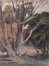 BRITISH SCHOOL (19TH CENTURY)