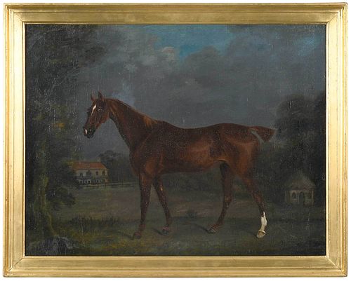 BRITISH SCHOOL EQUESTRIAN