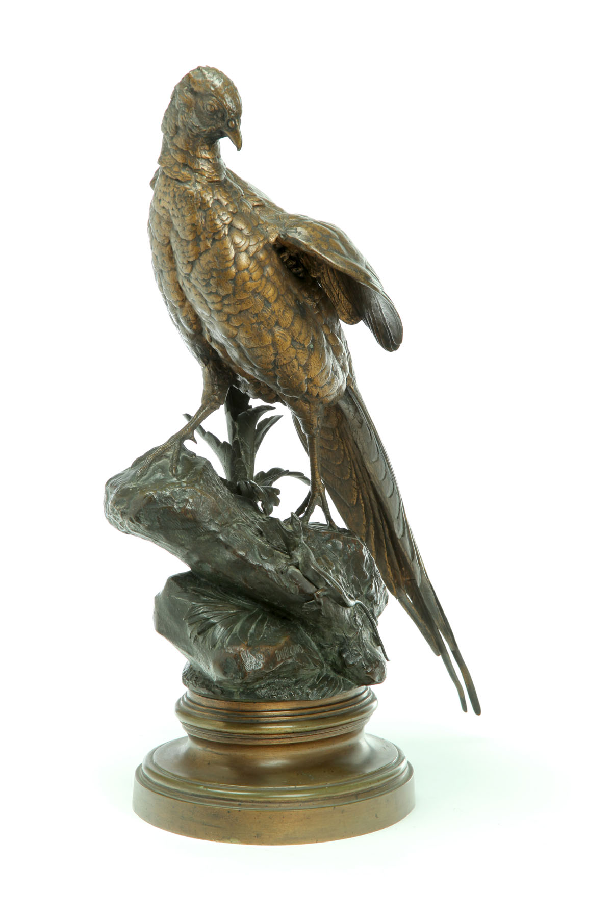 BRONZE PHEASANT AFTER ALFRED