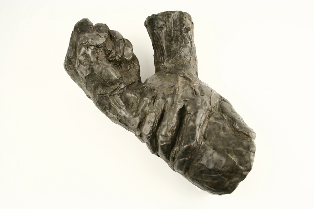 BRONZE SCULPTURE - Hands by Rod