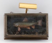 BROOK TROUT SHADOW BOX DIORAMA