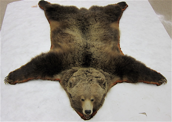 BROWN BEAR FLOOR RUG having a