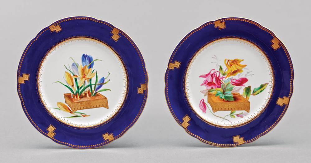 BROWNFIELD & SO PORCELAIN