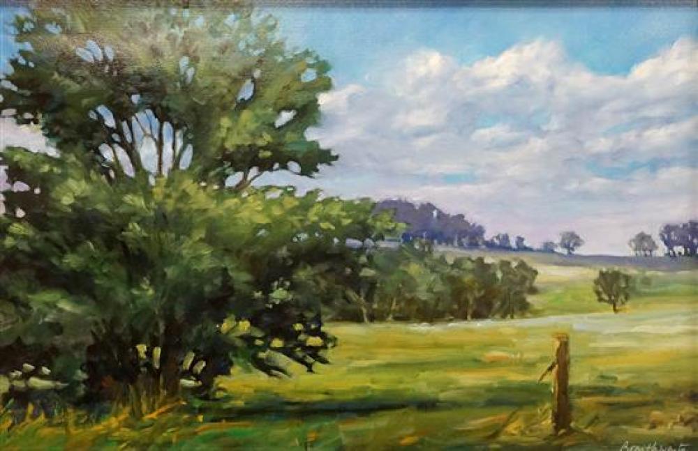 BRUCE BRAITHWAITE (AMERICAN B.