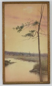 BRUNO ERTZ FOREST STREAM LANDS