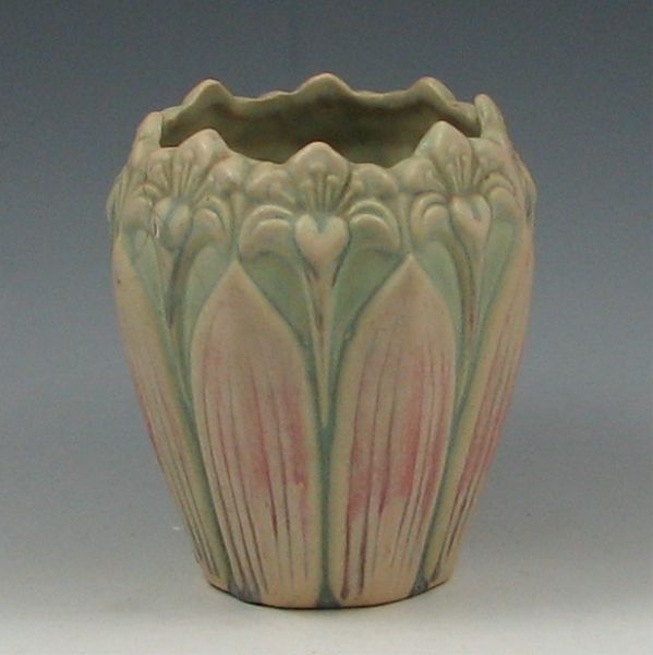 Brush-McCoy Kolorkraft Amaryllis