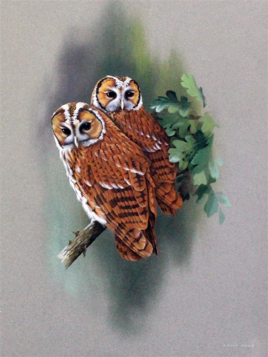 Bryan Reed (1934-) gouache Young