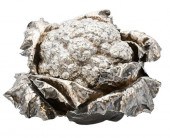 BUCCELLATI STERLING SILVER CAU