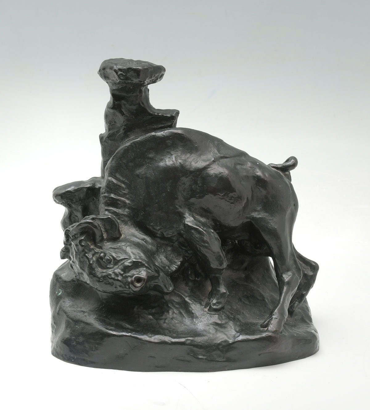 BUFFALO BRONZE AFTER C.M.