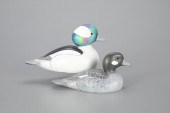 BUFFLEHEAD PAIRRobert G. Kerr