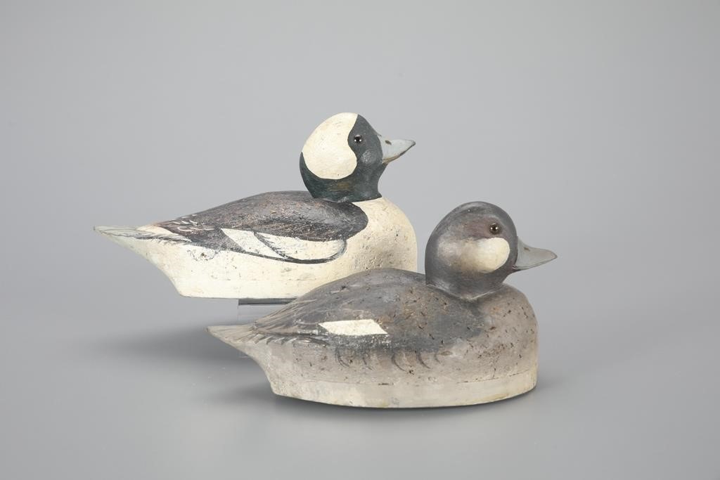 BUFFLEHEAD PAIRWinsor White