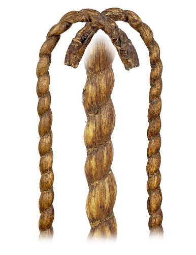 BULL PIZZLE CANE-Ca 1920 -The