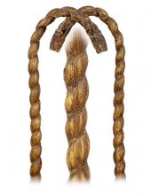 BULL PIZZLE CANE-Ca 1920 -The