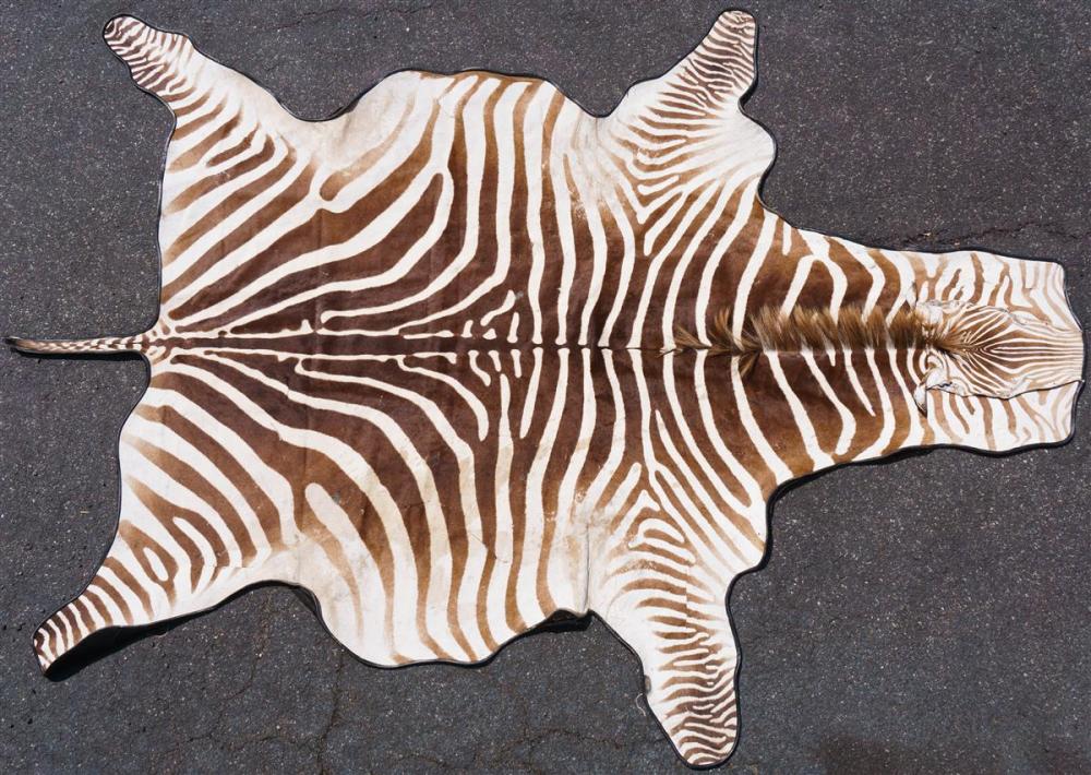 BURCHELL'S ZEBRA SKIN RUG,