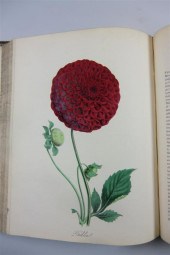 BURNETT (M) ILLUSTRATIONS OF U