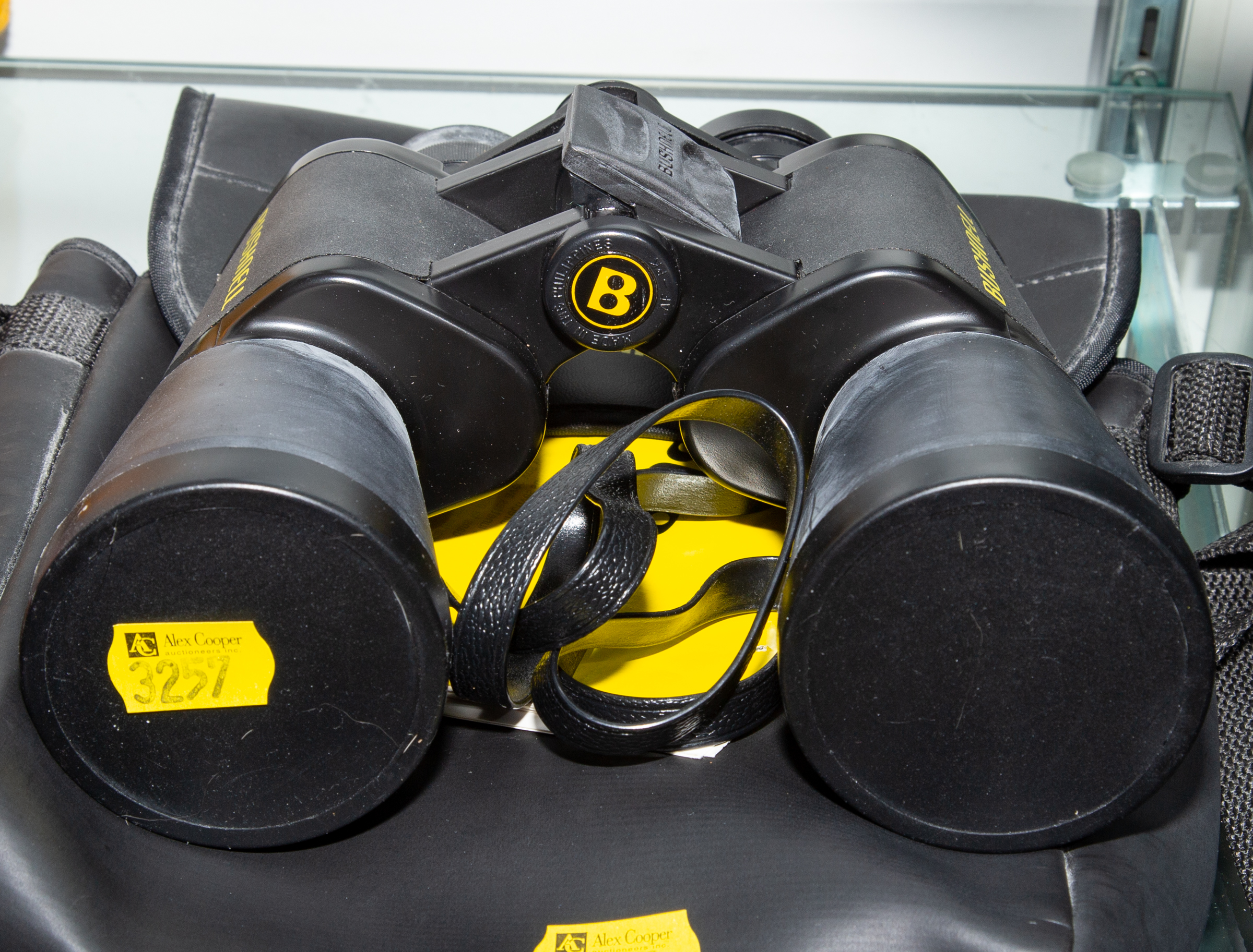 BUSHNELL 10X50 BINOCULARS With