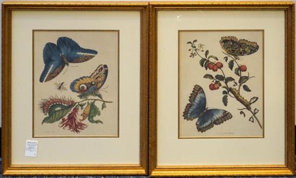 BUTTERFLIES AND INSECTS, TWO FRAMED