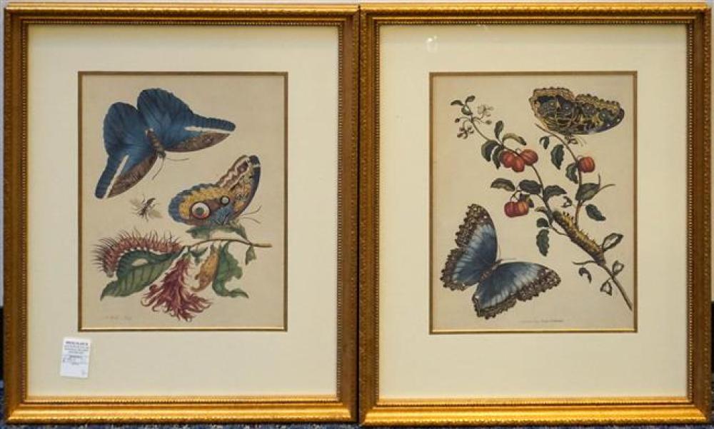 BUTTERFLIES AND INSECTS, TWO FRAMED