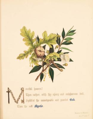 By and after L E G/Floral