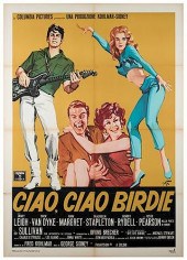 BYE BYE BIRDIE.Bye Bye Birdie.