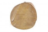 C. 1890 NORTHERN PLAINS RAWHID