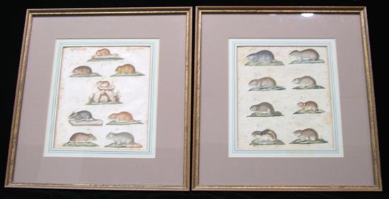 C Grof.  two early hand colored