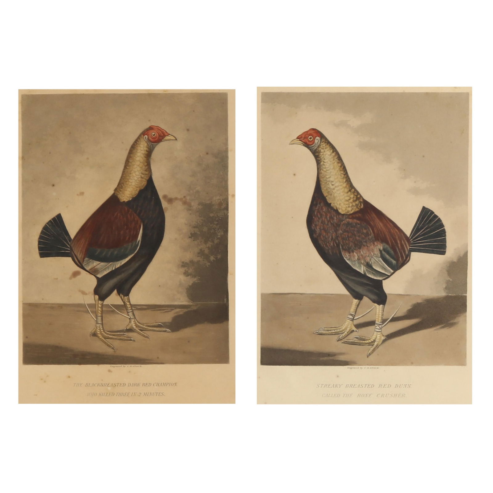 C. R. STOCK (ENGLISH, LATE 19TH