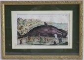 CA. 1657 MERIAN WHALE PRINT, P