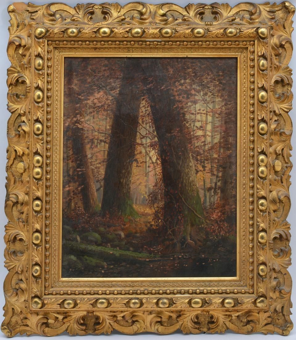 CA FOREST INTERIOR, INDIST.