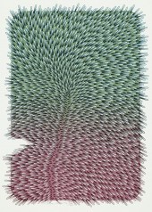CAC SUBSCRIBERS ISSUE PRINTSCA