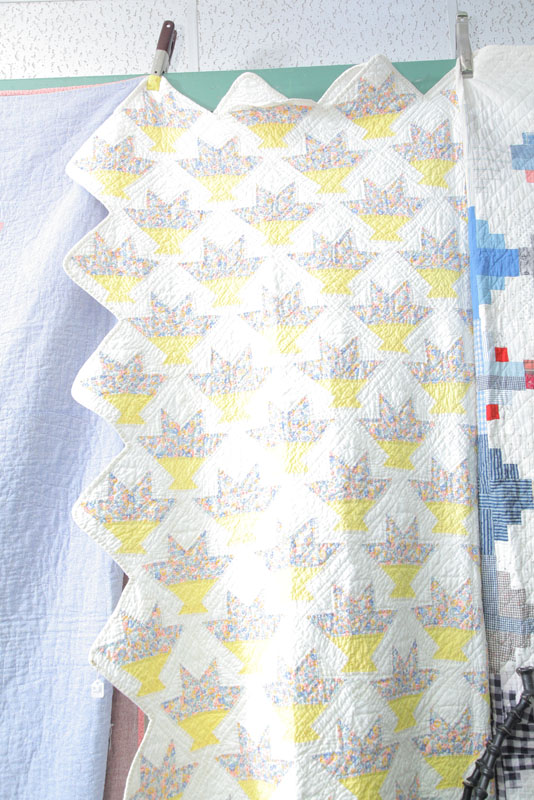 CACTUS BASKET QUILT. Having a white