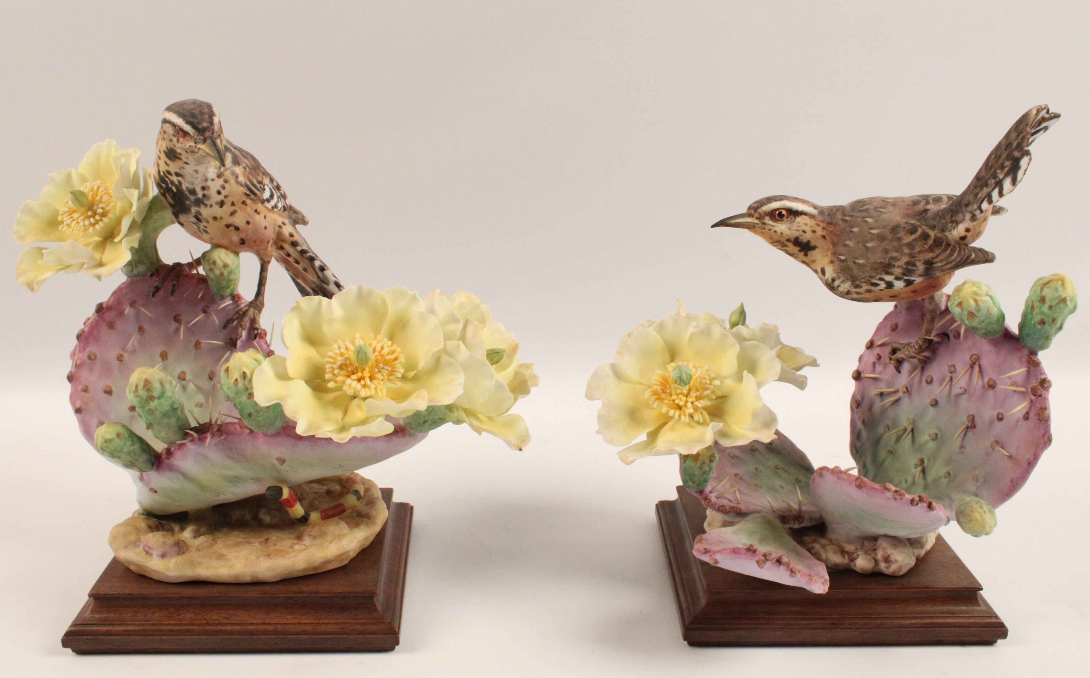 CACTUS WRENS WITH PRICKLY PEAR BY