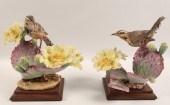 CACTUS WRENS WITH PRICKLY PEAR