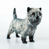CAIRN TERRIER CHARMING EYES HN