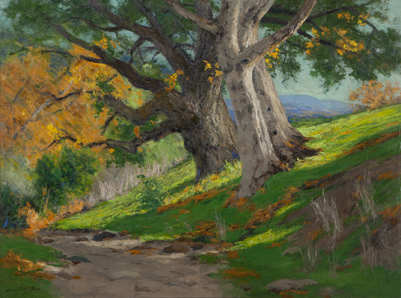 ''California Autumn (Oak &
