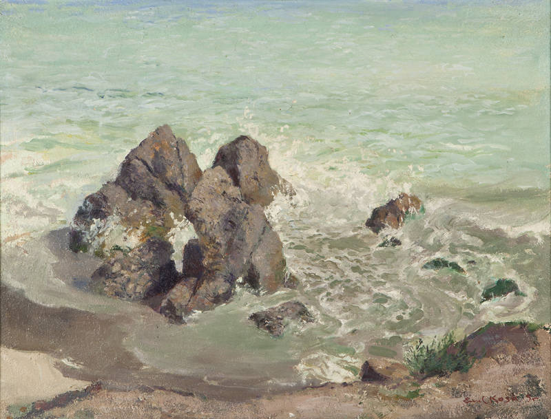 California coastal seascape