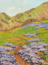 CALIFORNIA POPPIES & LUPINE PA