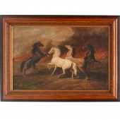 CALIFORNIA SCHOOL, STALLIONS B