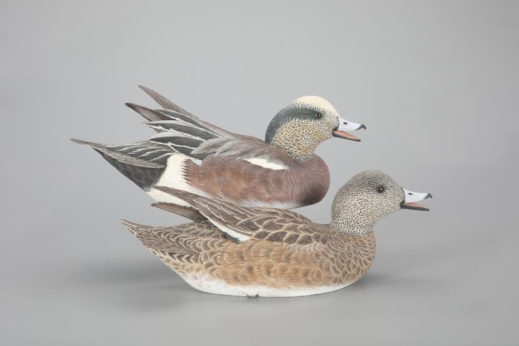 CALLING WIGEON PAIRW. J. Badeaux