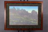 CAMAS FIELD, MADRONA POINT, OR
