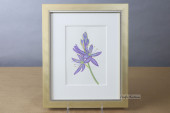 CAMAS ORIGINAL WATERCOLOR BY L
