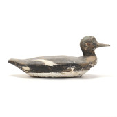 CAMDEN COUNTY HOODED MERGANSER