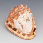 CAMEO CUT CONCH SHELL 3" x 4 ?