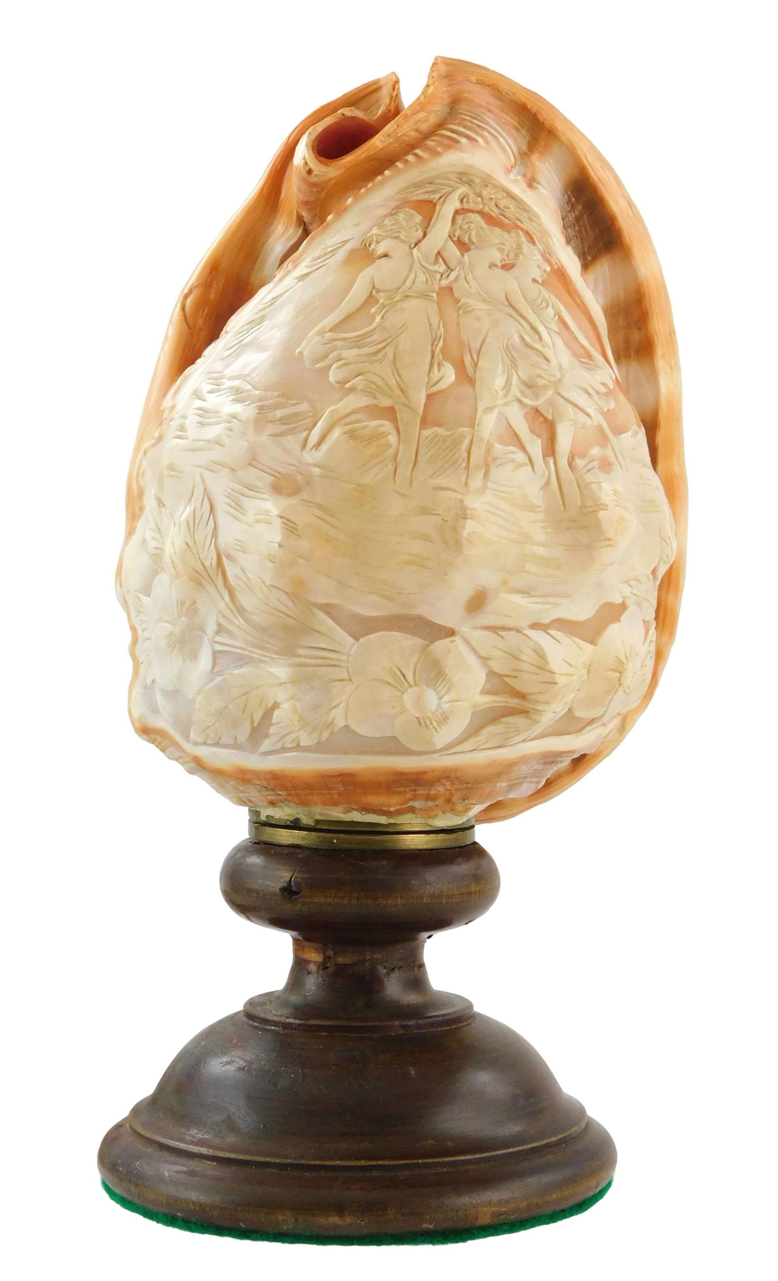 CAMEO-STYLE CARVED CONCH SHELL