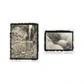 CAMERON TELLER, PAIR OF PHOTOG