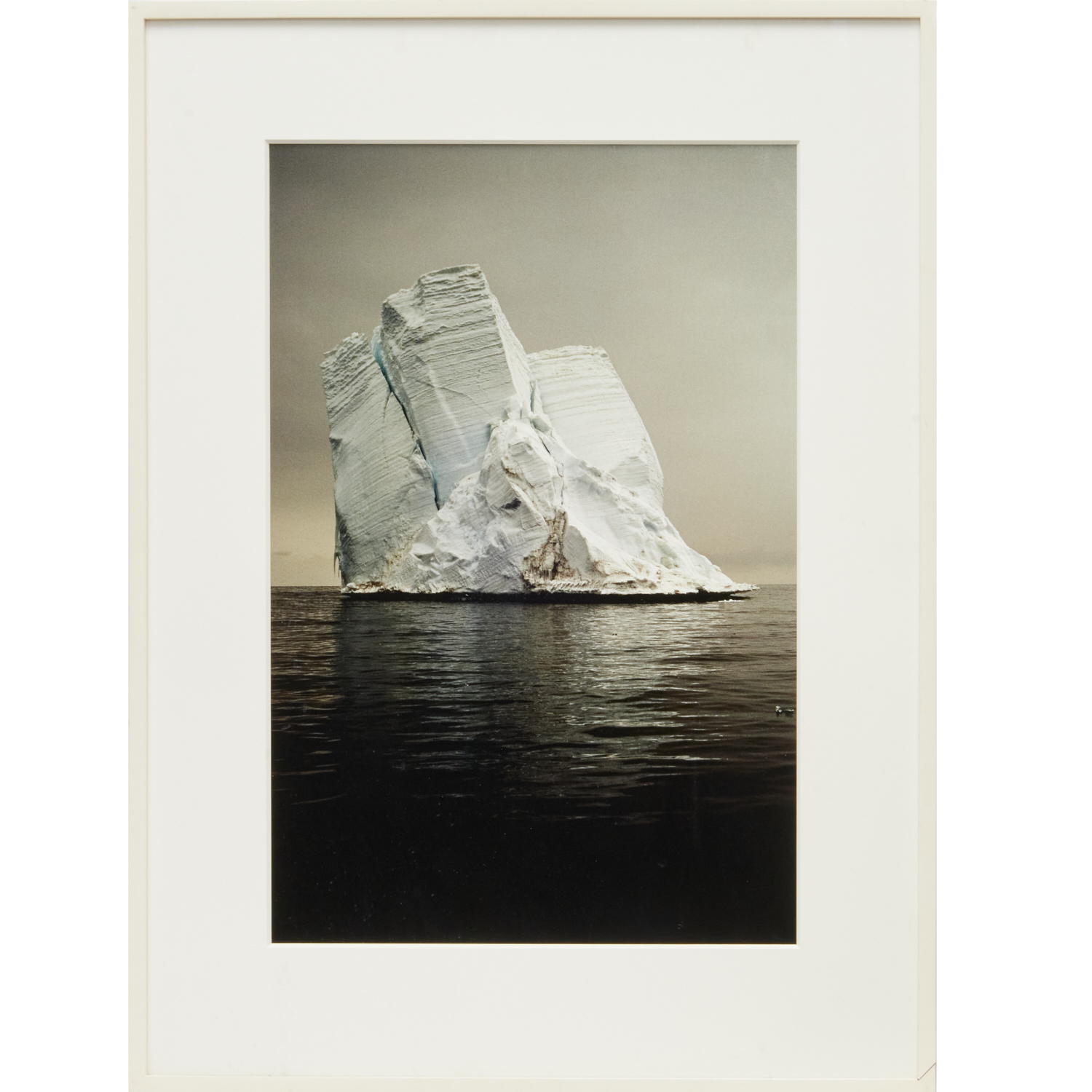 CAMILLE SEAMAN, ARCHIVAL PIGMENT