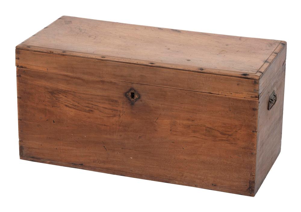 CAMPHORWOOD TRUNK 19TH CENTURY